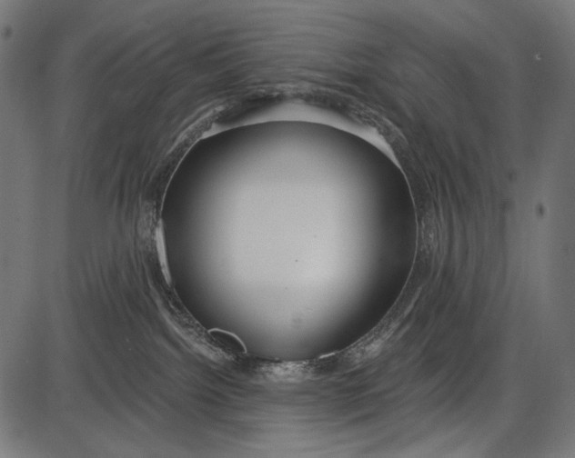 X0000086070092200704091246