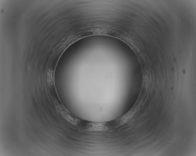 X0000086070093200704091246