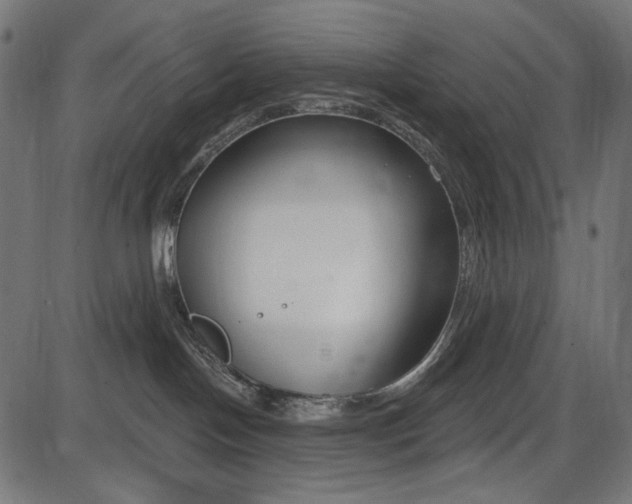 X0000086070094200704091246
