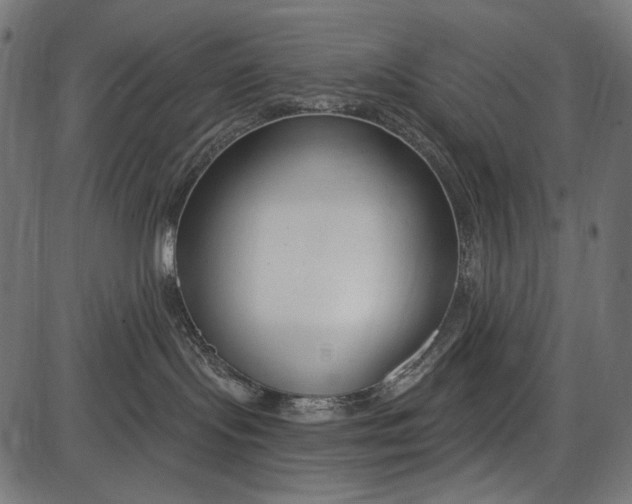 X0000086070095200704091246