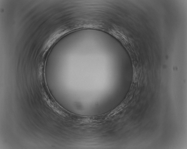 X0000086070098200704091246