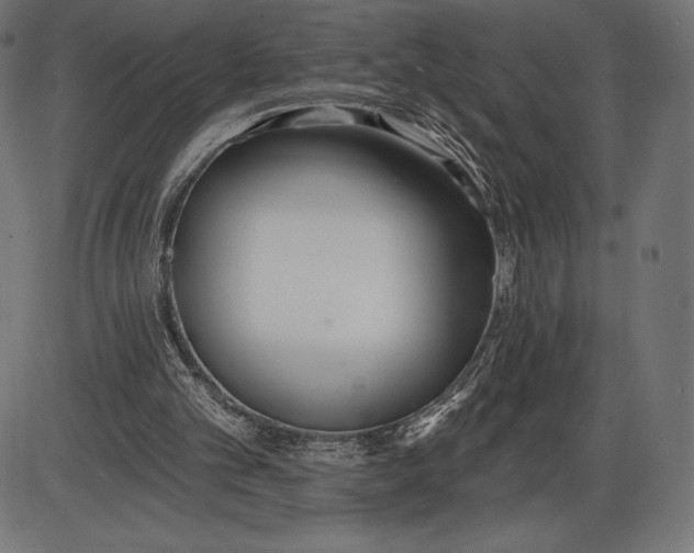X0000086070101200704091246