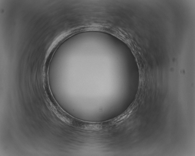 X0000086070102200704091246