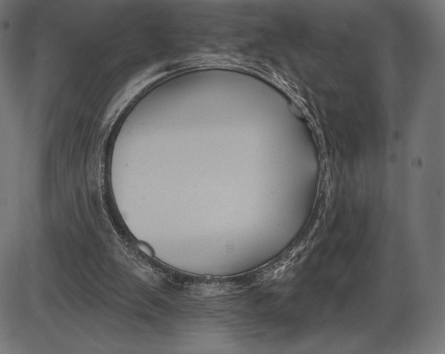 X0000086070103200704091245
