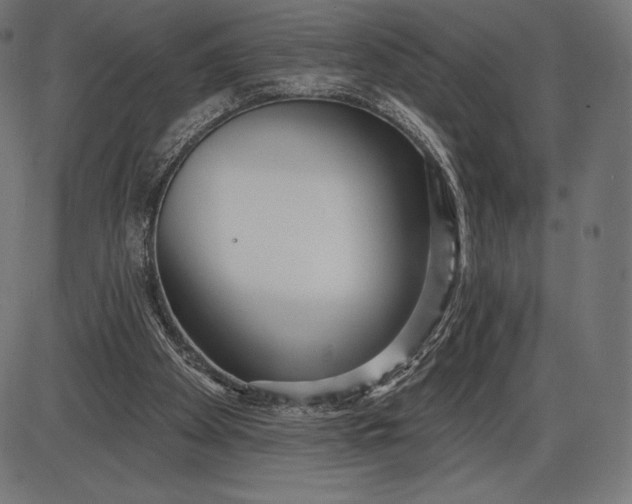 X0000086070105200704091245