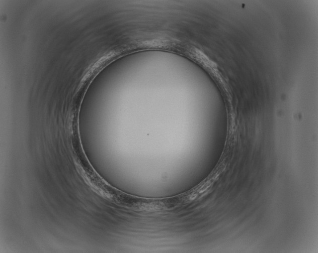X0000086070106200704091245
