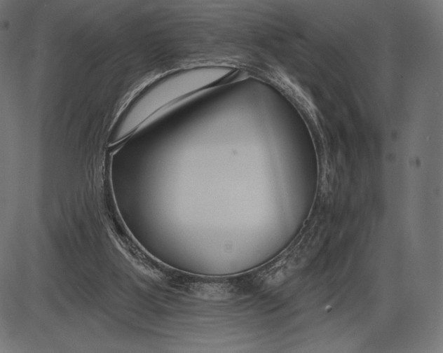 X0000086070107200704091245