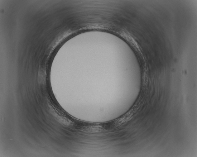 X0000086070108200704091245
