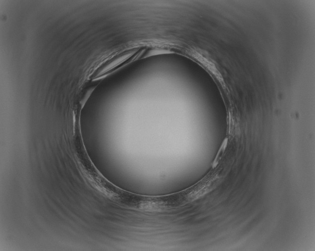 X0000086070109200704091245