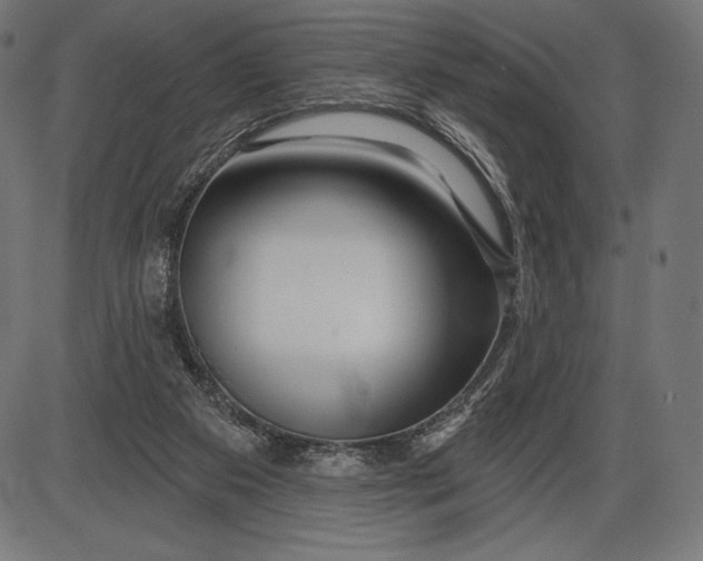 X0000086070113200704091245