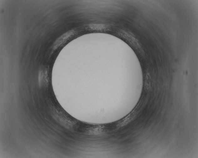 X0000086070116200704091245
