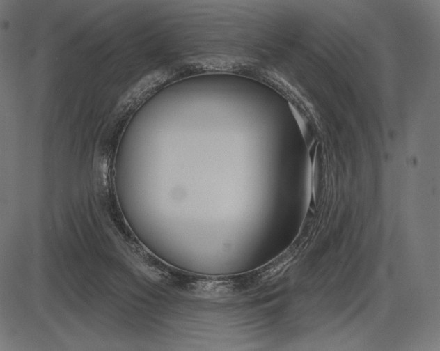 X0000086070117200704091245
