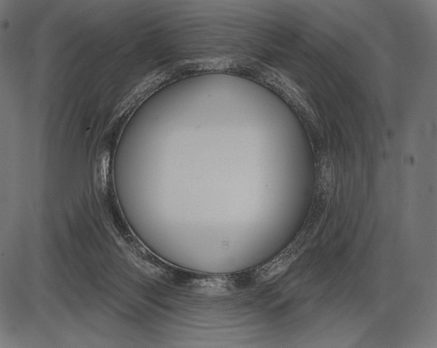 X0000086070118200704091245