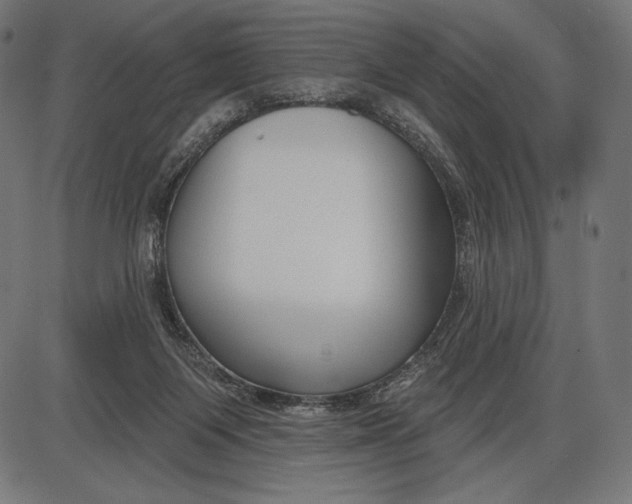 X0000086070119200704091245