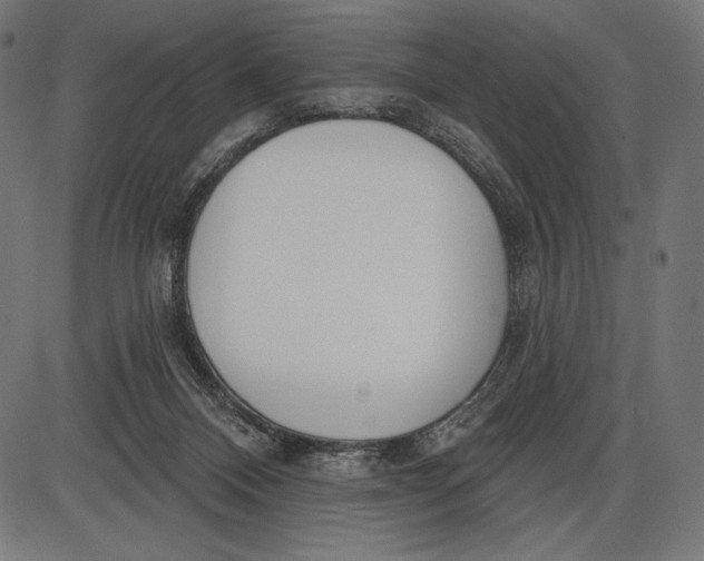 X0000086070120200704091245