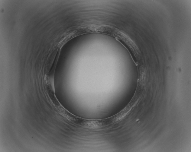X0000086070121200704091245