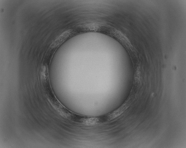 X0000086070122200704091245