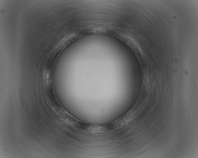 X0000086070123200704091245