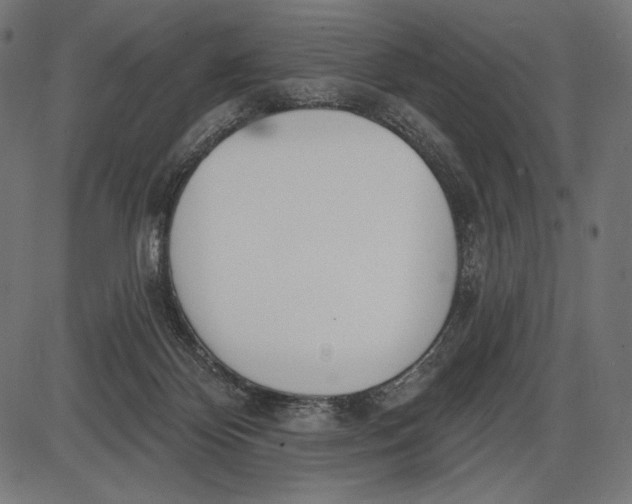 X0000086070124200704091245
