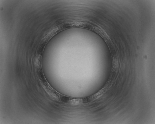 X0000086070126200704091245