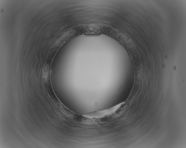 X0000086070129200704091245