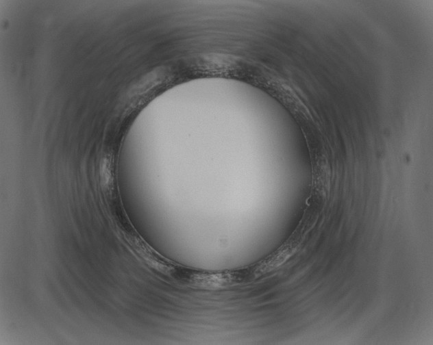 X0000086070131200704091245