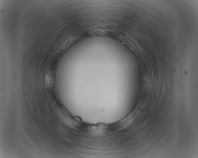 X0000086070134200704091245