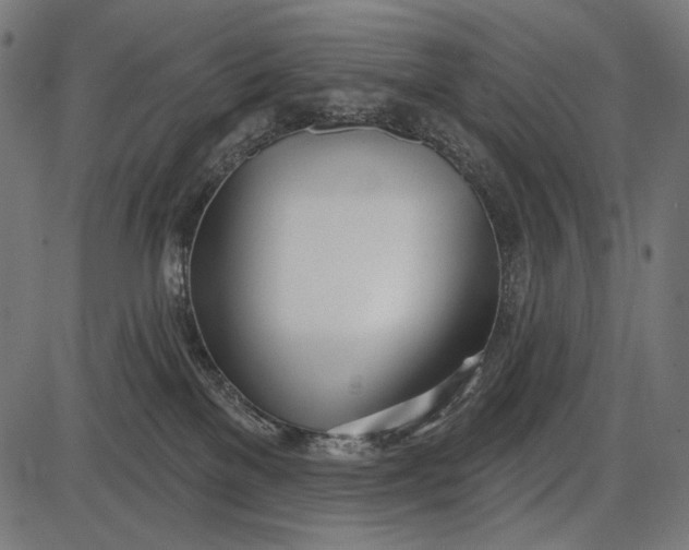X0000086070137200704091245