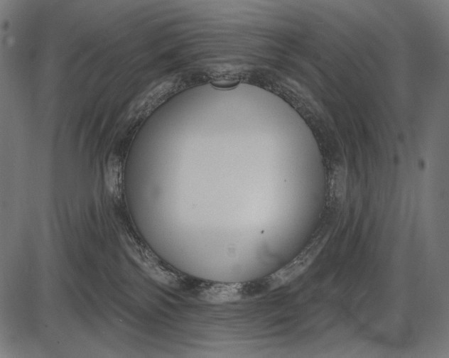 X0000086070138200704091245