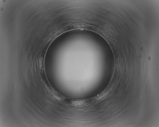X0000086070139200704091245