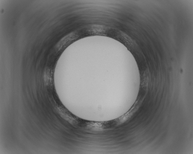 X0000086070140200704091245