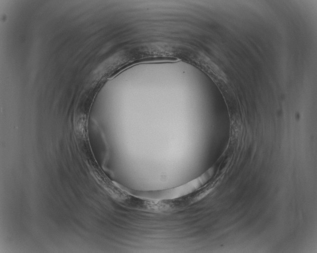 X0000086070141200704091245