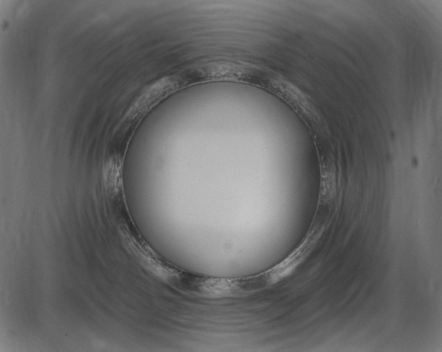 X0000086070142200704091245