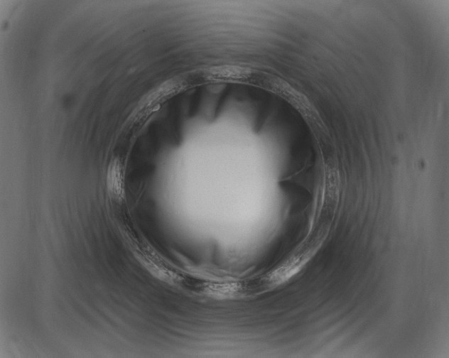 X0000086070143200704091245