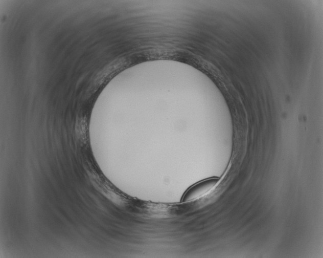 X0000086070144200704091245