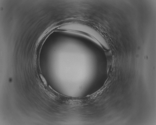 X0000086070150200704091244