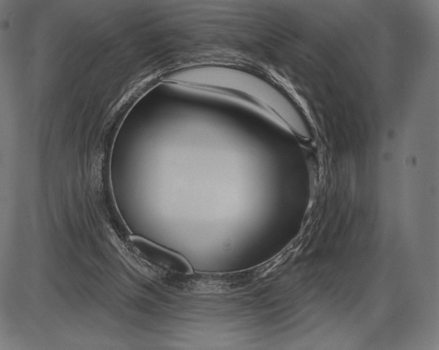 X0000086070154200704091244