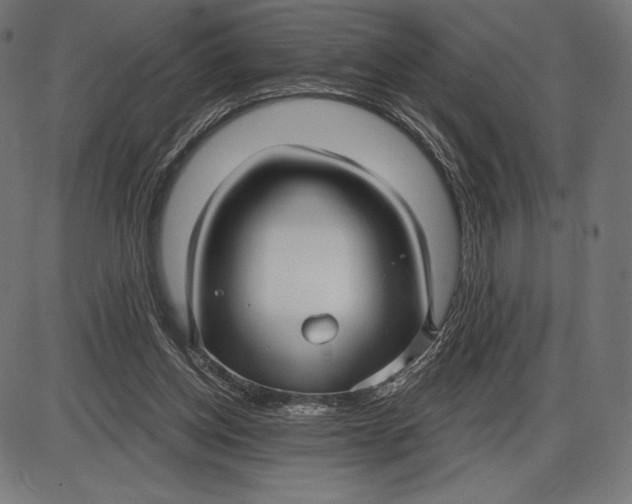 X0000086070158200704091244