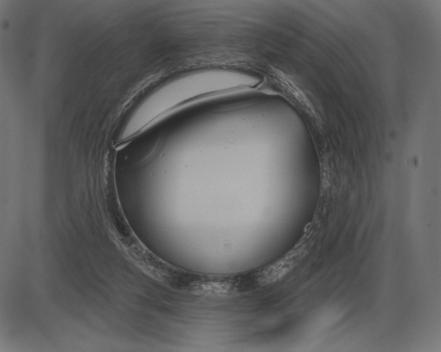 X0000086070163200704091244