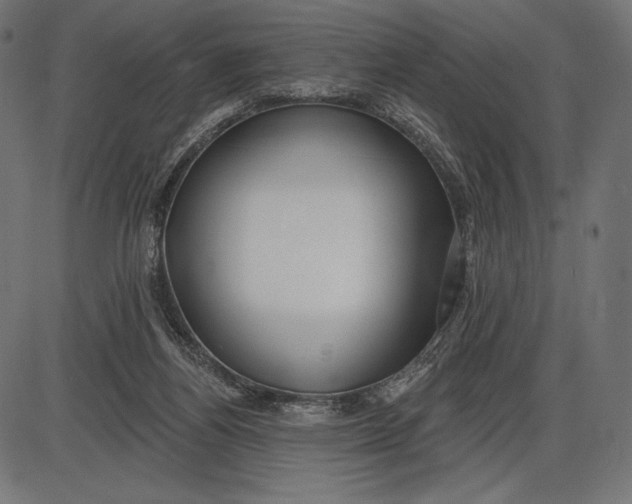 X0000086070164200704091244