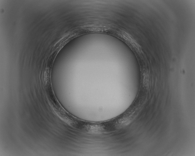 X0000086070165200704091244