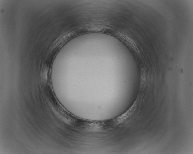 X0000086070166200704091244