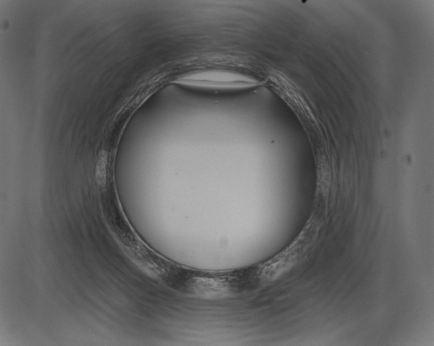 X0000086070167200704091244