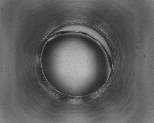 X0000086070168200704091244