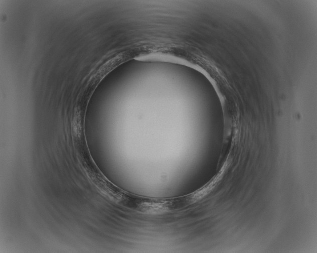 X0000086070170200704091244