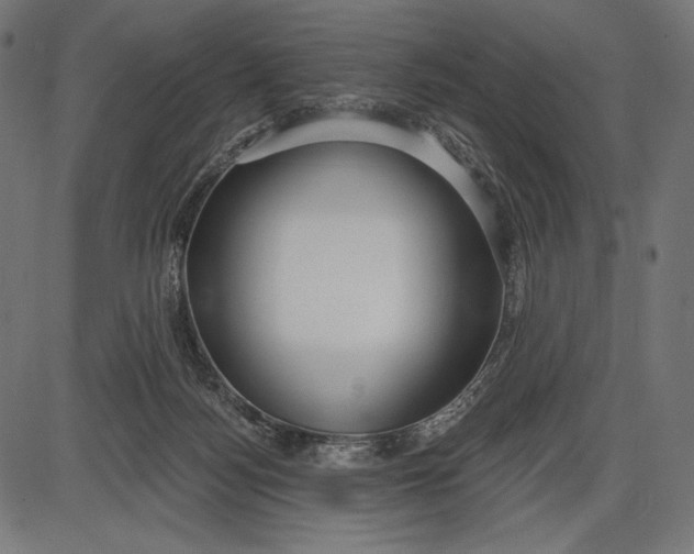 X0000086070172200704091244