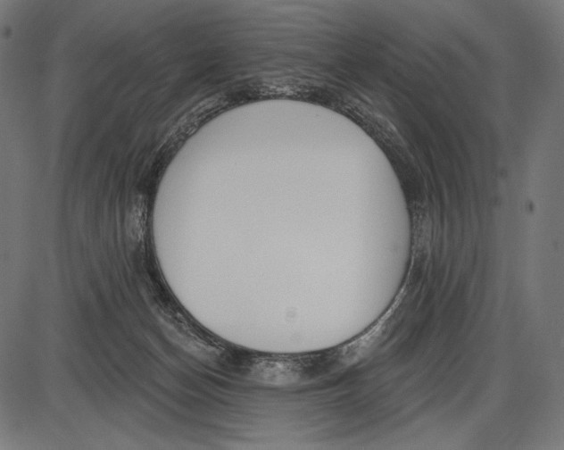 X0000086070174200704091244