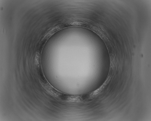 X0000086070175200704091245
