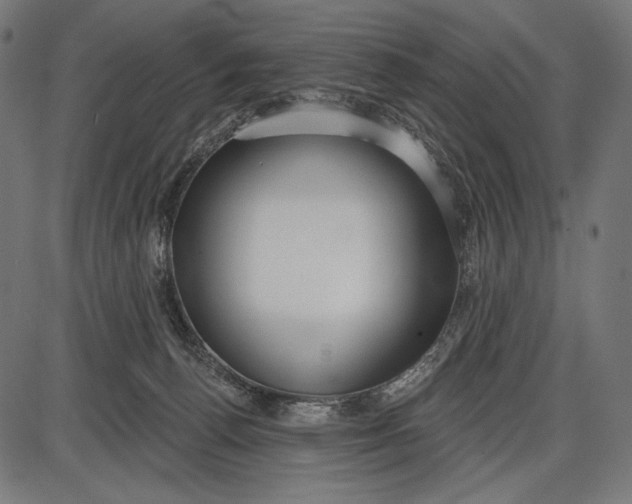 X0000086070176200704091245