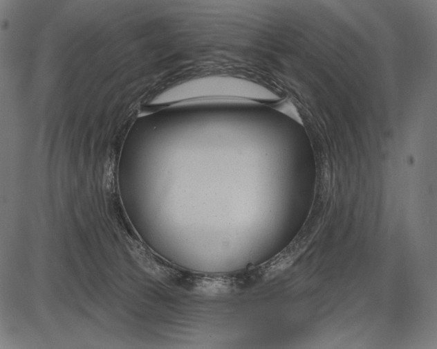 X0000086070177200704091245